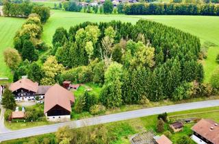 Bauernhaus kaufen in 84385 Egglham, Historischer Bauernhof in Egglham – 250 Jahre alt – 9.300 m² Grund