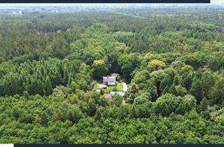 Haus kaufen in 25795 Weddingstedt, Natur, Ruhe & Gestaltungsspielraum – Teilsaniertes Waldhaus in einzigartiger Lage bei Weddingstedt