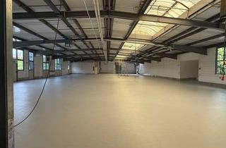 Gewerbeimmobilie kaufen in 90579 Langenzenn, Moderne, helle Industriehalle mit Bürotrakt, Produktion, FMCG, 90579 Langenzenn