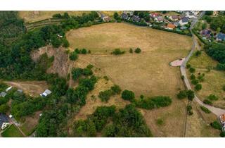 Grundstück zu kaufen in 01662 Meißen, Attraktives Grundstück mit Entwicklungspotenzial in Meißen-Winkwitz