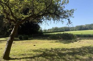 Grundstück zu kaufen in 86911 Dießen, Herrliches Westgrundstück mit angrenzender Wiese und Weitblick in Riederau am Ammersee