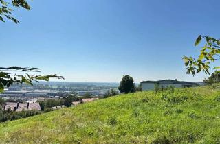 Grundstück zu kaufen in 94469 Deggendorf, Deggendorf/Aussichtslage: Herrliches Baugrundstück in Südhanglage - auf Wunsch kurzfristig bebaubar!