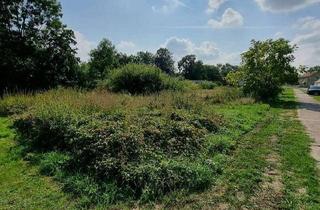 Grundstück zu kaufen in 15328 Alt Tucheband, Grundstücke im Grünen Nähe Berlin