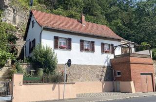 Immobilie kaufen in 01612 Nünchritz, Kleines Einfamilienhaus / Ferienhaus im malerischen Diesbar-Seußlitz