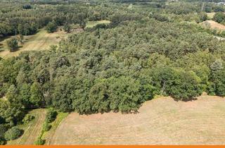 Gewerbeimmobilie kaufen in 38518 Gifhorn, Waldgrundstück am Rande Gifhorns