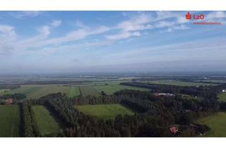 Gewerbeimmobilie kaufen in 26188 Edewecht, Attraktive Flächen in Edewecht - Jeddeloh II-
