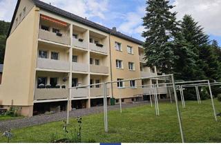 Wohnung mieten in 09623 Rechenberg-Bienenmühle, Himmlische Dachgeschosswohnung zum Wohlfühlen in herrlicher Umgebung!