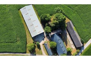 Bauernhaus kaufen in 47551 Bedburg-Hau, Bauernhofanwesen mit großem Potenzial und charmanten Nebengebäuden
