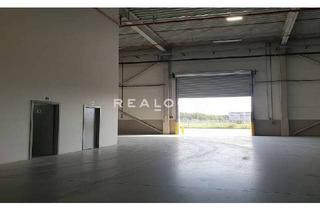 Gewerbeimmobilie mieten in 73249 Wernau, Großzügige Lagerfläche mit optimaler Andienung zu vermieten!