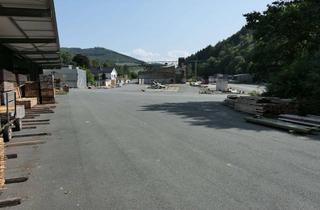 Gewerbeimmobilie kaufen in 59872 Meschede, Industriehalle mit Freifläche, Gewerbeimmobilie, Gewerbegrundstück