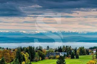 Anlageobjekt in 79862 Höchenschwand, Traumhaftes Grundstück mit Blick auf die Alpen! Bestandsgebäude inklusive