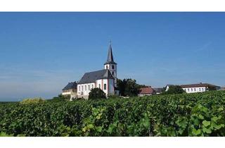 Grundstück zu kaufen in Sophie-Hornlehnert-Weg 2-4, 65239 Hochheim, Baugrundstück in Top-Lage, Neubaugebiet Hochheim am Main
