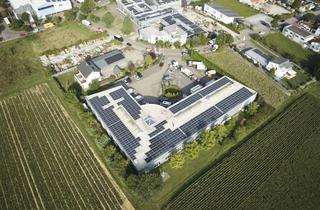 Immobilie kaufen in 74360 Ilsfeld, Modernes, vielseitig nutzbares Gewerbeanwesen in 74360 Ilsfeld (Objekt 033/32-a)