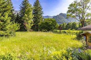 Grundstück zu kaufen in 83730 Fischbachau, Jetzt mit FamiliemitKInd-Bonus - Sonniges Grundstück in Fischbachau