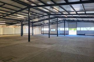 Geschäftslokal mieten in 24837 Schleswig, Halle / Produktion / Lager in Schleswig zu vermieten