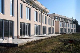 Reihenhaus kaufen in 16356 Werneuchen, Werneuchen - Lichtdurchflutetes Reihenhaus mit Garten & Stellplatz - jetzt sichern!