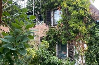 Einfamilienhaus kaufen in 76887 Bad Bergzabern, Bad Bergzabern - Einfamilienhaus