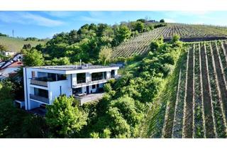 Penthouse kaufen in 53474 Bad Neuenahr-Ahrweiler, Penthouse in den Weinbergen – Wohnen auf höchstem Niveau