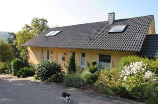Wohnung mieten in Hirschsprung, 64757 Rothenberg, Idyllische 160m² Traumwohnung mit Balkon und Garten in Hanglage zum 01.12.2025 in Oberzent