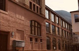 Lofts mieten in Schöntalstr. 7b, 67434 Neustadt, wunderschöne 2 Zimmer Loft-Wohnung mit Wintergarten ab 01.10.2025