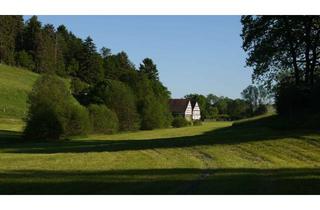 Wohnung mieten in Oberste Mühle, 35110 Frankenau, IDYLL IM GRÜNEN