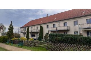 Wohnung mieten in Zilleplatz, 02991 Lauta, Lauta! Helle 1 Raum Wohnung mit Balkon und Gartenanteil zu vermieten!