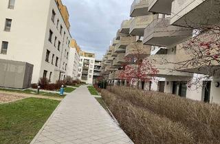 Wohnung mieten in Rheinallee, 67061 Süd, 2 Dachterrassen - hier können Sie sich wohlfühlen