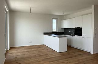 Penthouse mieten in 68782 Brühl, NEUBAU: Großzügiges 3-Zimmer-Penthouse mit Dachterrasse und Einbauküche