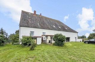 Einfamilienhaus kaufen in 04886 Großtreben, Neuer Preis: Zukunft mit Aussicht - Wohnen & erweitern - Einfamilienhaus in Neubleesern