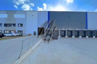 Büro zu mieten in 64546 Mörfelden-Walldorf, KEINE PROVISION ✓ NÄHE FLUGHAFEN ✓ 24/7 ✓ Lager-/Logistik (4.700 m²) & Büro (300 m²) zu vermieten