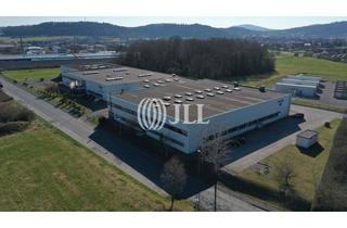 Gewerbeimmobilie mieten in 98646 Hildburghausen, Tolle Produktionsimmobilie I Modern I flexibel nutzbarI ab sofort