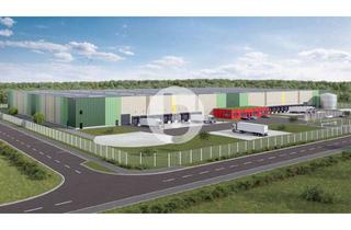 Gewerbeimmobilie mieten in 30890 Barsinghausen, hallensuche.de: Logistikneubau in Barsinghausen/Groß Munzel