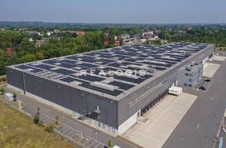 Gewerbeimmobilie mieten in 45711 Datteln, Rampen | ebenerdig | lichte Höhe ca. 12,20 m | beheizt