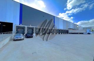 Büro zu mieten in 65479 Raunheim, KEINE PROVISION ✓ NÄHE FLUGHAFEN ✓ 24/7 ✓ Lager-/Logistik (4.700 m²) & Büro (300 m²) zu vermieten