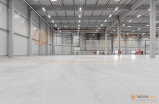 Gewerbeimmobilie mieten in 92507 Nabburg, Neubau-Produktions- & Lagerhalle mit Top-Autobahnanbindung und moderner Ausstattung *PROVISIONSFREI*