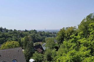 Grundstück zu kaufen in 69121 Handschuhsheim, Auf der Sonnenseite des Mühltals mit Blick über die Rheinebene