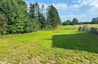 Grundstück zu kaufen in 23623 Ahrensbök, Baugrundstück in Feldrandlage in Ahrensbök