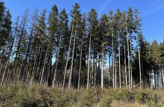 Gewerbeimmobilie kaufen in 86911 Dießen, Mischwald bei Dießen - Teilflächen möglich