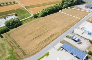Gewerbeimmobilie kaufen in 74736 Hardheim, Kompaktes Gewerbegrundstück mit klarer Perspektive – kombinierbar mit Nachbarflächen