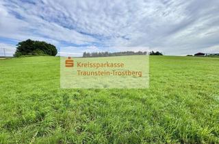 Gewerbeimmobilie kaufen in 83132 Pittenhart, Landwirtschaftliches Grünland