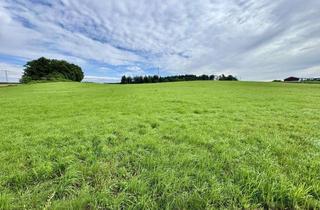 Gewerbeimmobilie kaufen in 83132 Pittenhart, Landwirtschaftliches Grünland