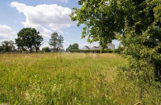 Grundstück zu kaufen in 06925 Groß Naundorf, XXL- GRUNDSTÜCK IN ZAUBERHAFTER WALDRANDLAGE