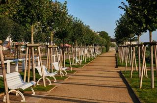 Grundstück zu kaufen in 17429 Benz, Benz bei Bansin. Ruhiges Baugrundstück - baureif.