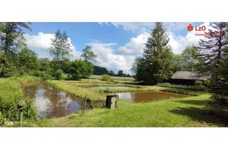 Grundstück zu kaufen in 27243 Prinzhöfte, Teichanlage zu verkaufen! Einmalige Gelegenheit!