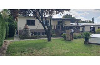 Einfamilienhaus kaufen in 04886 Beilrode, Beilrode - Verkaufe gut erhaltenes Einfamilienhaus Bj. 85 mit 1000m² Grund