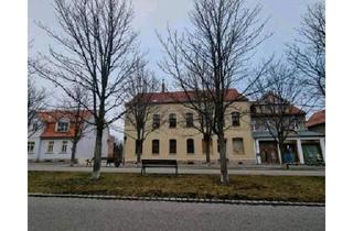 Mehrfamilienhaus kaufen in 06493 Ballenstedt, Ballenstedt - Mehrfamilienhaus-Immobilie in Ballenstedt
