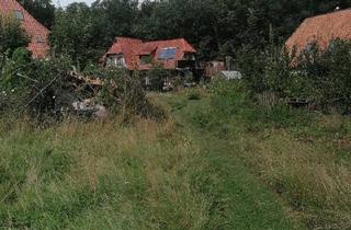 Einfamilienhaus kaufen in 31547 Rehburg-Loccum, Rehburg-Loccum - Einfamilienhaus