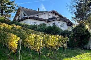 Villa kaufen in 79219 Staufen, Staufen im Breisgau - Villa in spektakulärer Alleinlage am Schlossberg