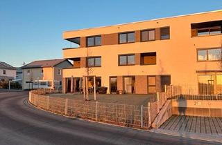 Wohnung kaufen in 74392 Freudental, Freudental - Exklusive Neubau-Erdgeschosswohnung mit großem Garten