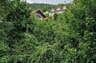 Wohnung kaufen in 69488 Birkenau, helle und gut geschnittene 3 Zimmerwohnung